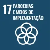 ODS17 - Parcerias e Meios de Implementa&ccedil;&atilde;o